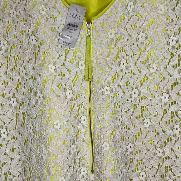 NWT Ann Taylor Loft Petites Lace Dress Green Lining Sleeveless Career Office 16P - Picture 5 of 9